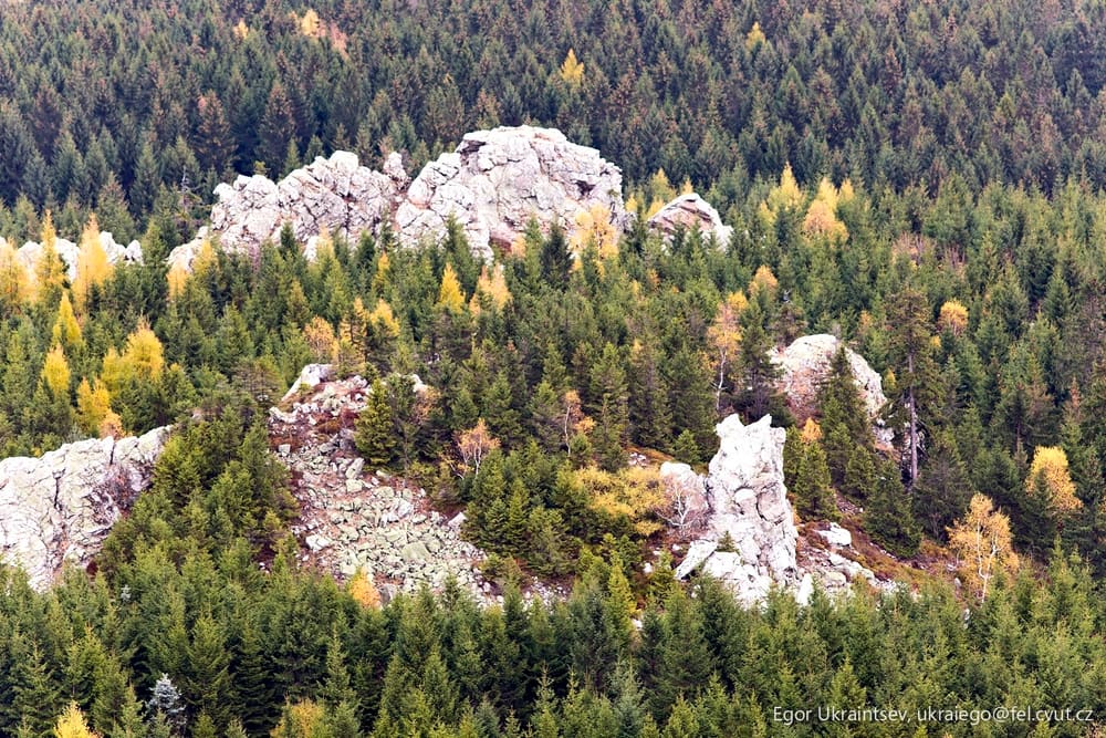 Trees and rocks