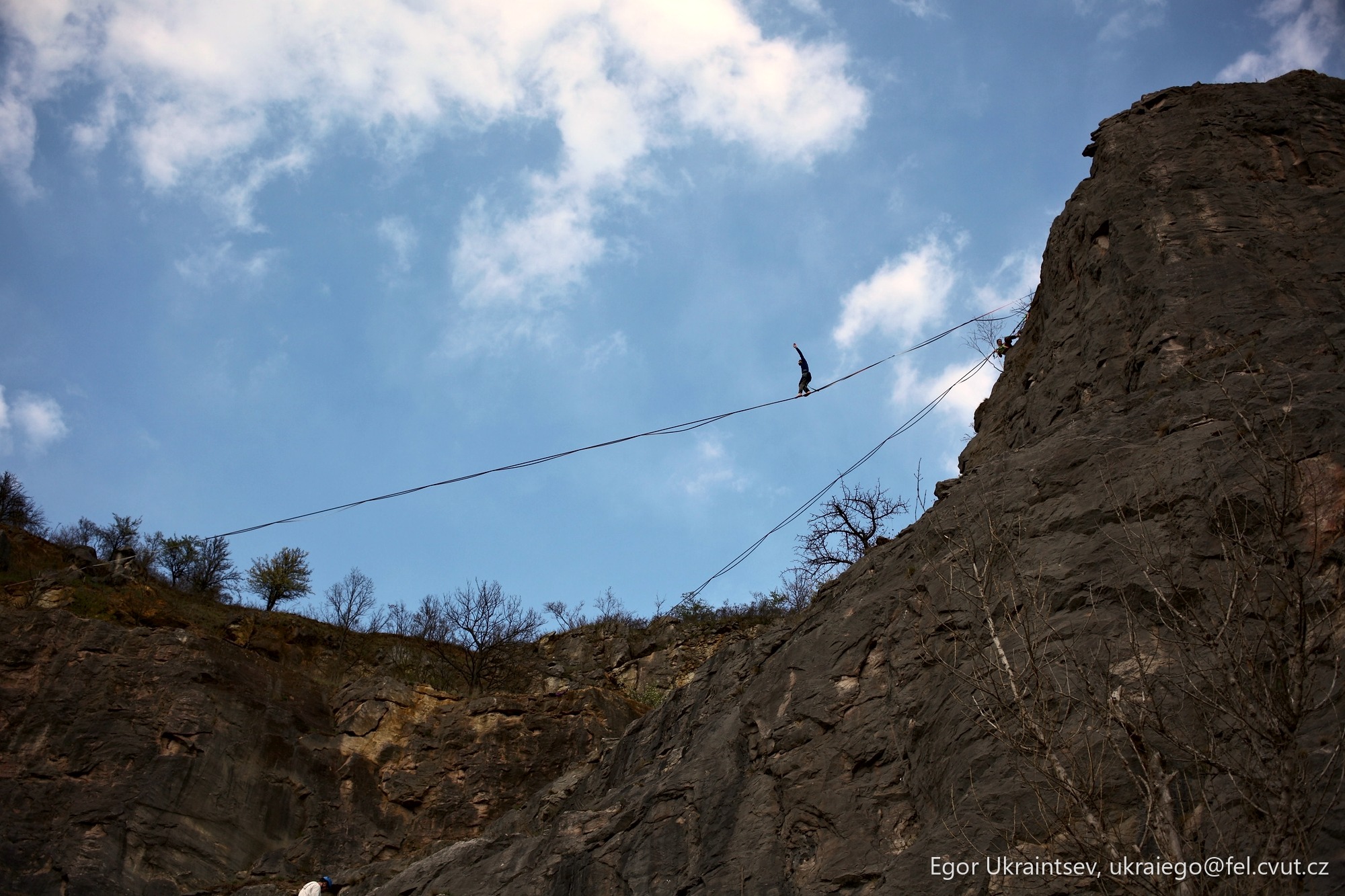 Bird perched on a wire