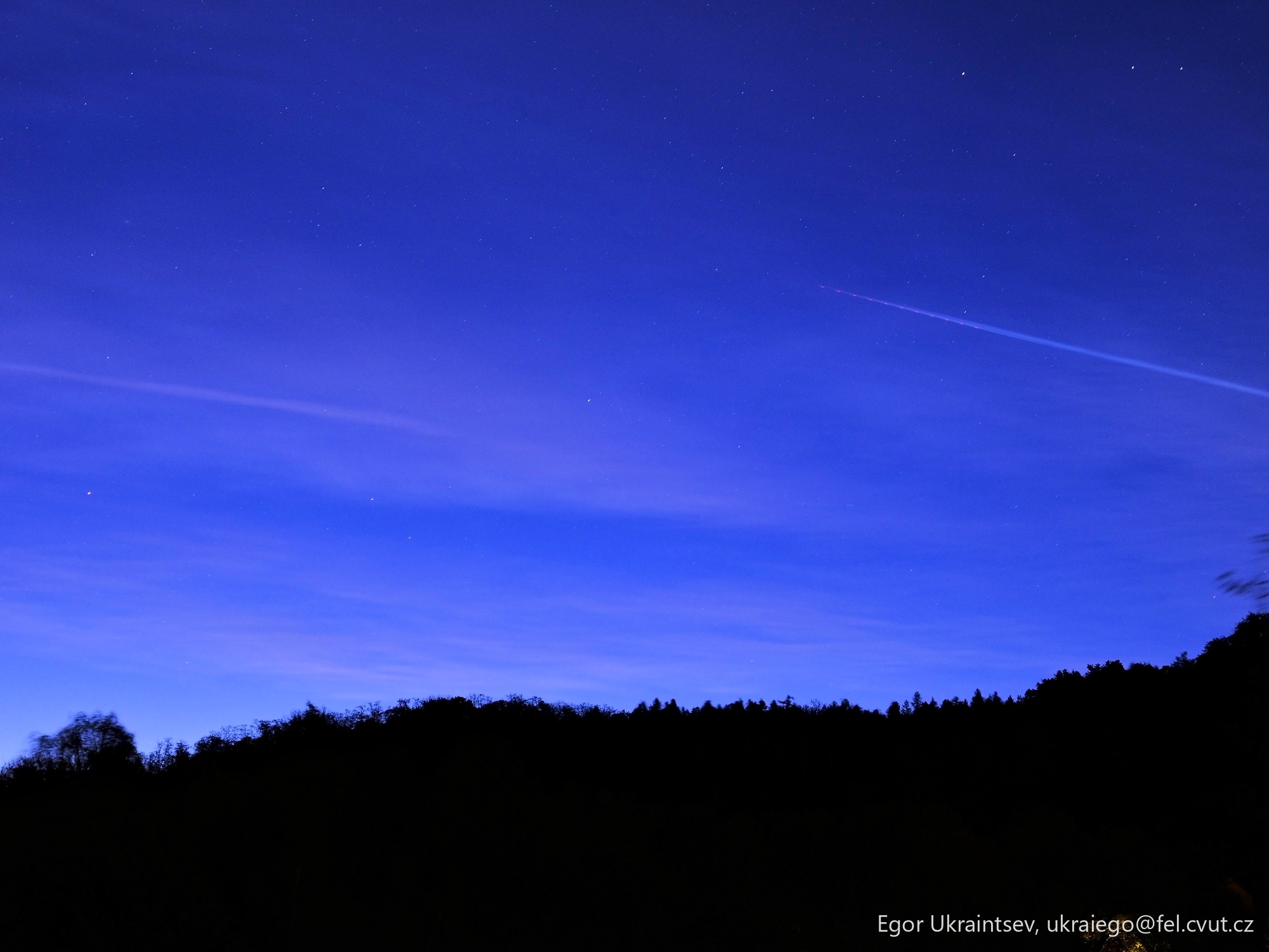 Night sky over a forest