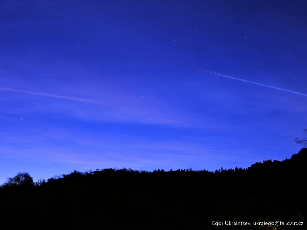 Night sky over a forest