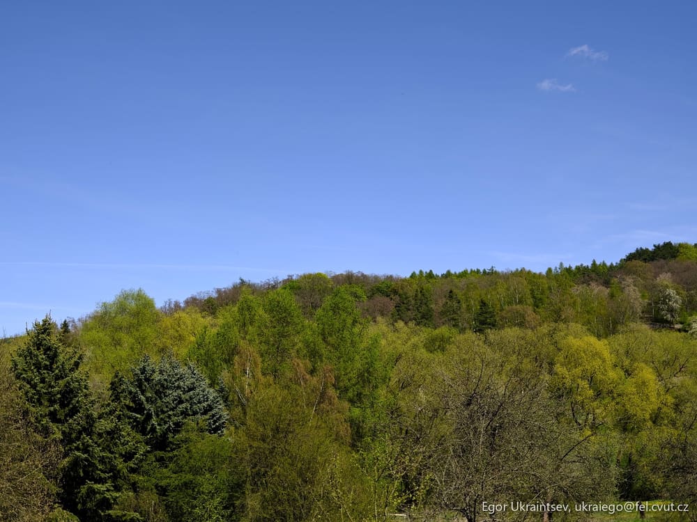 Blue sky with some trees