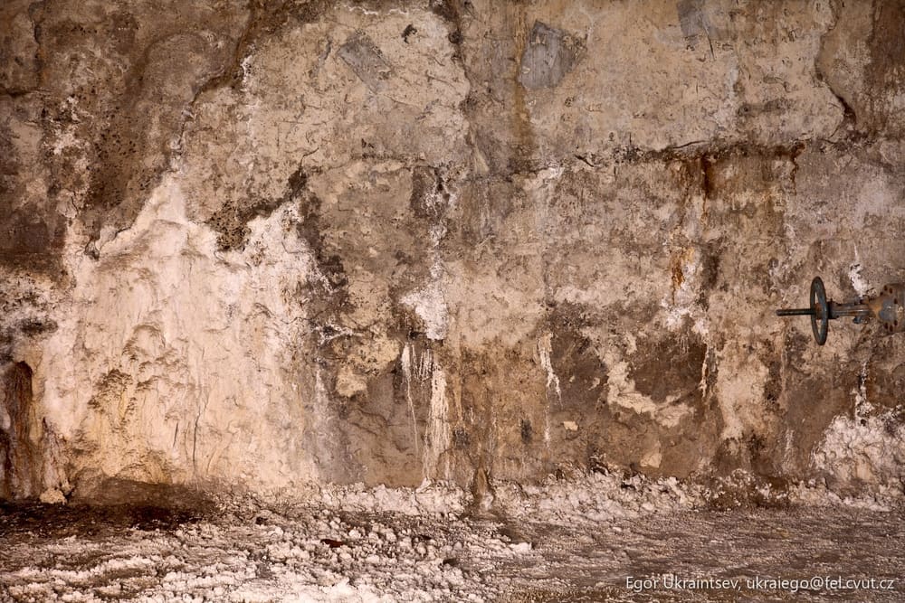Bird perched on a wall