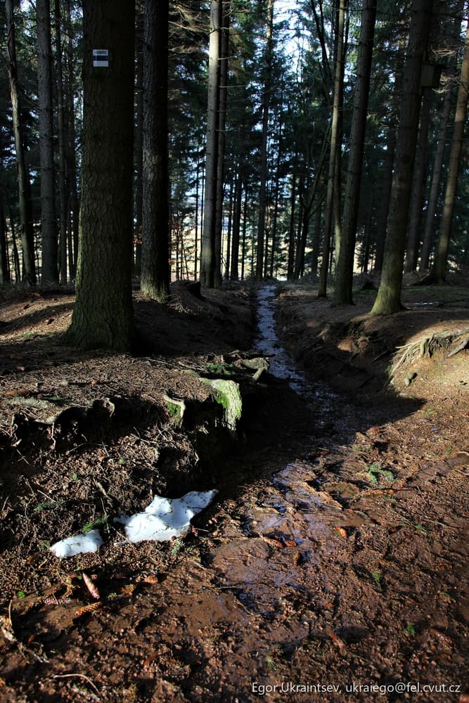 Stream in the woods