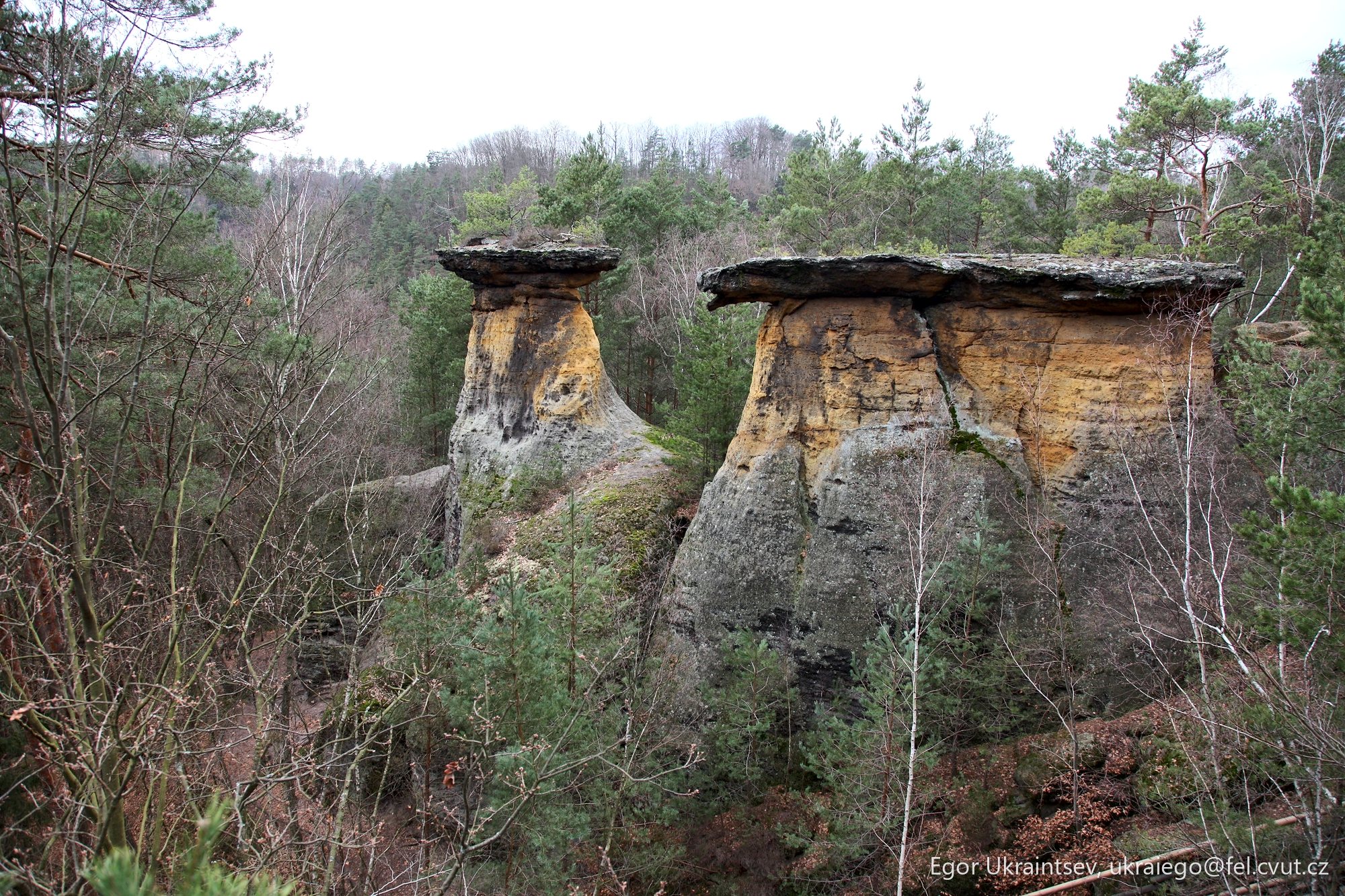 Rock formation in the woods