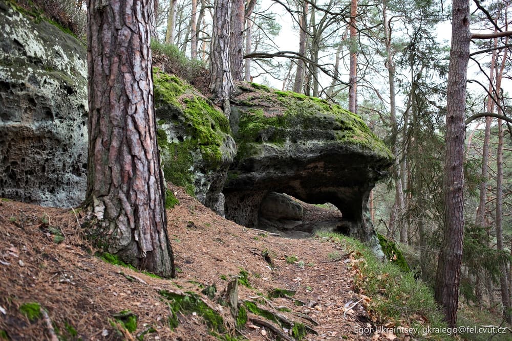 Rock formation in a forest