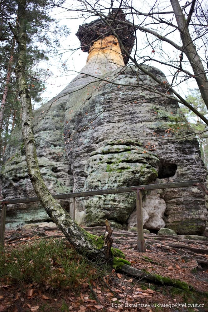 Rock in the woods