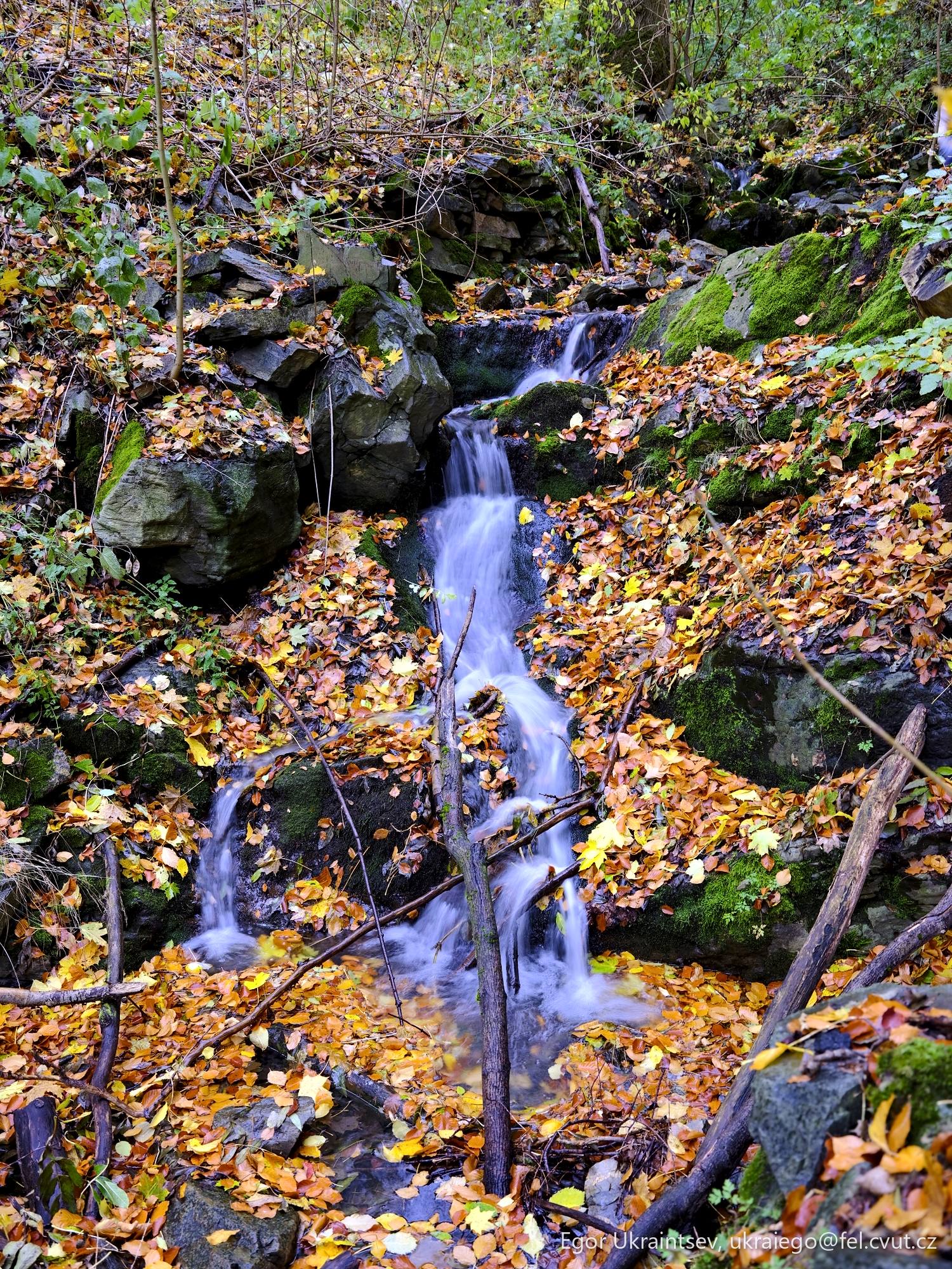 Small waterfall in the woods