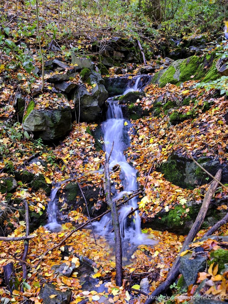 Small waterfall in the woods
