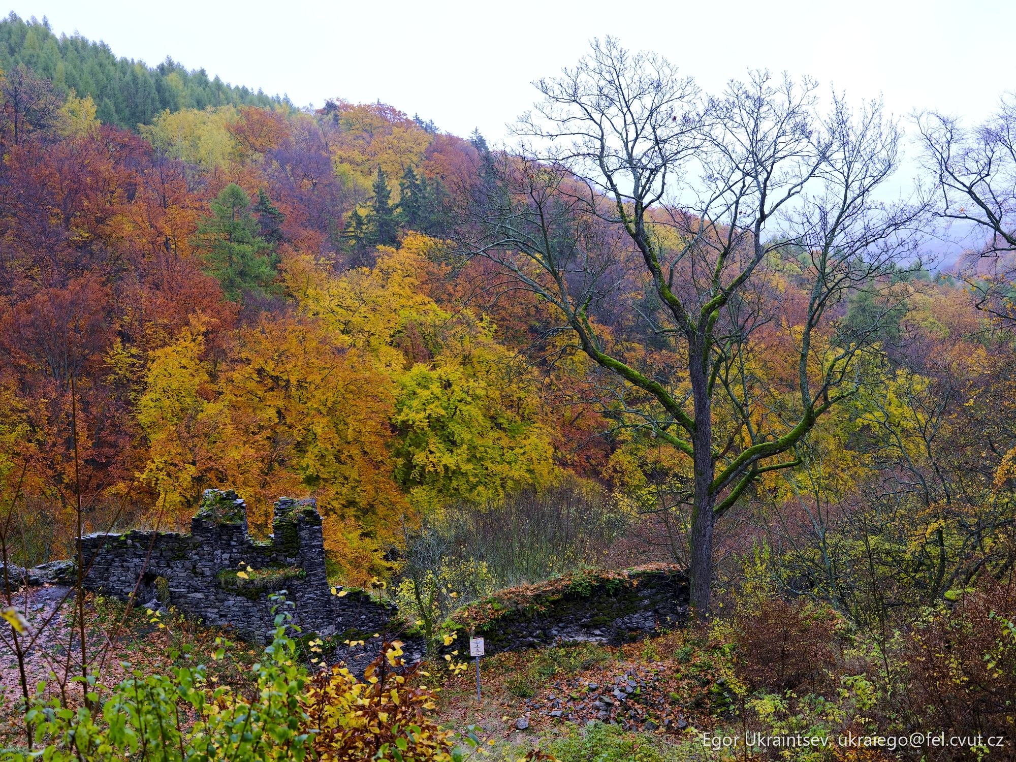 Ruins of the castle