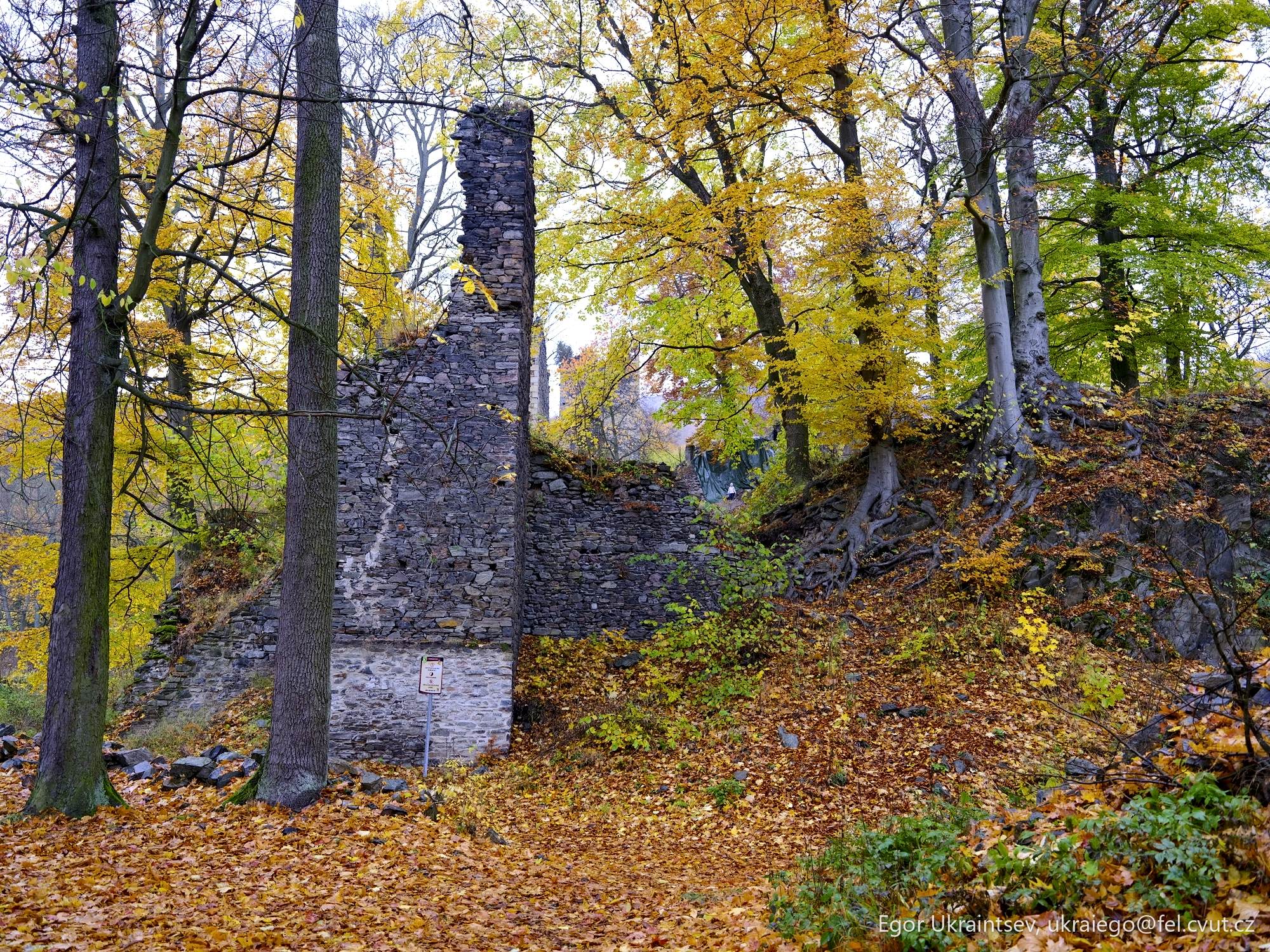Old ruin in the woods