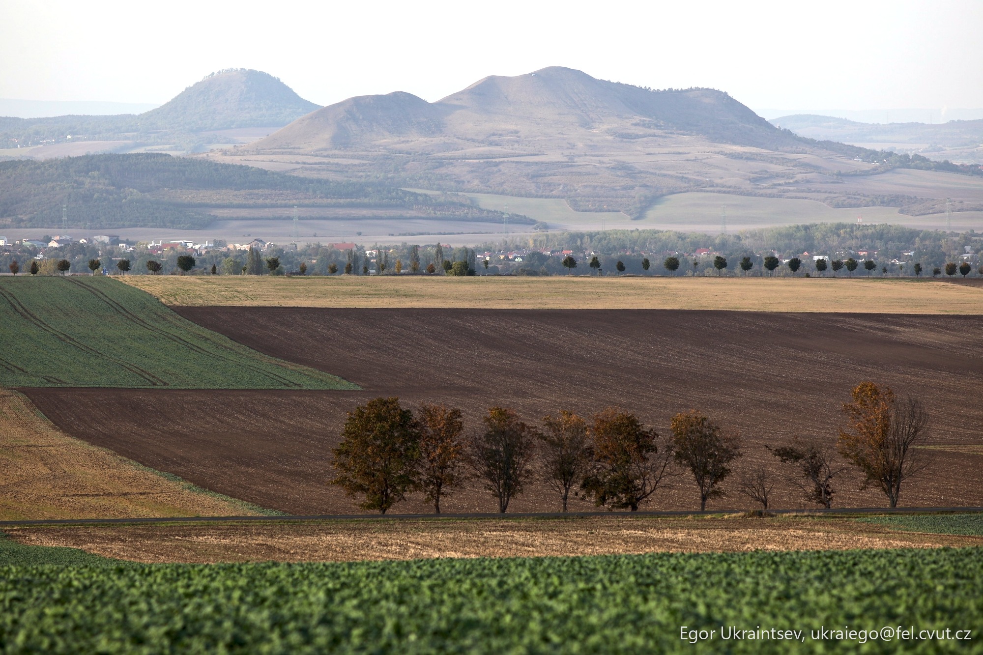 Field with trees and hills