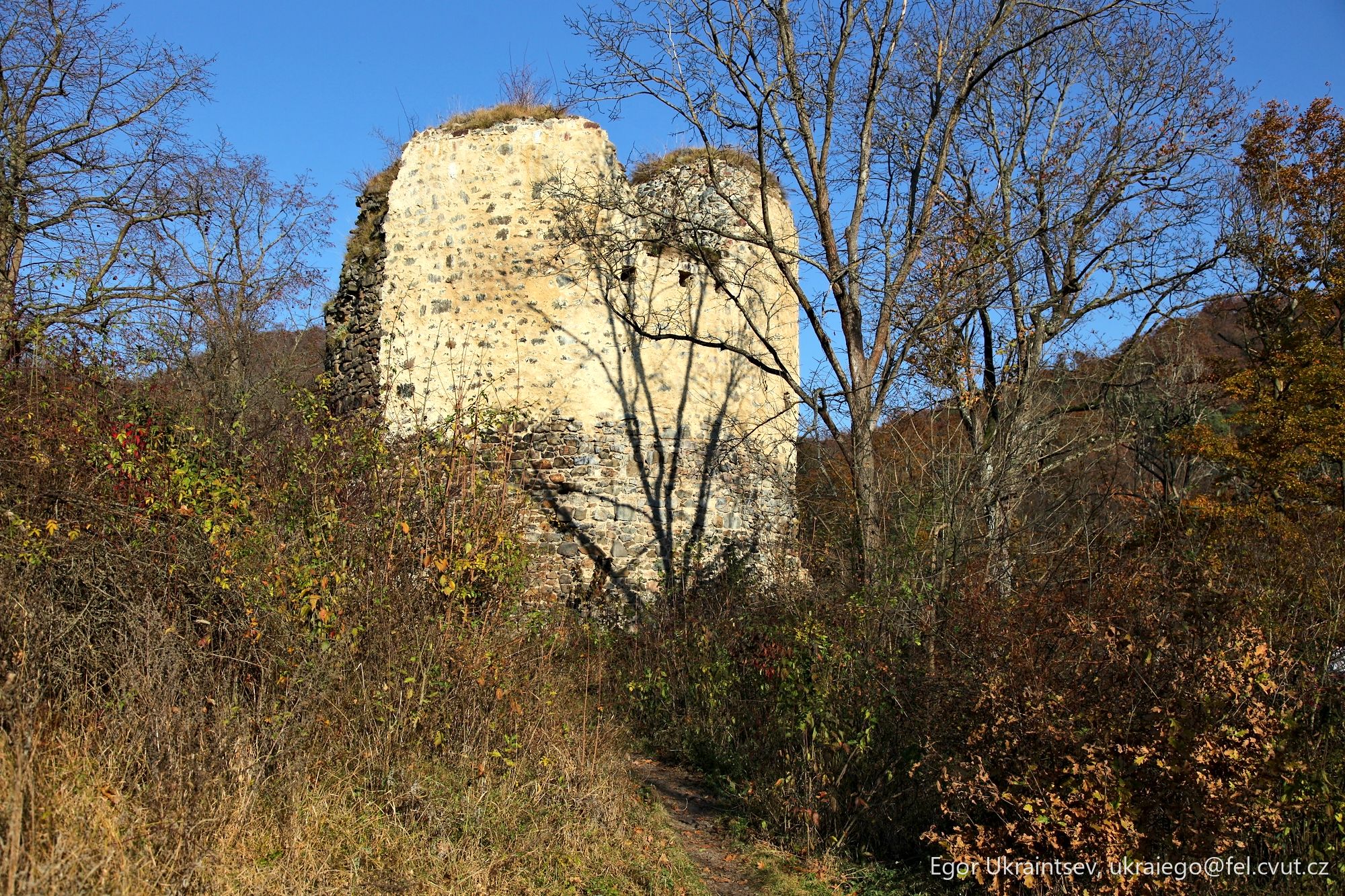 Old ruin in the woods