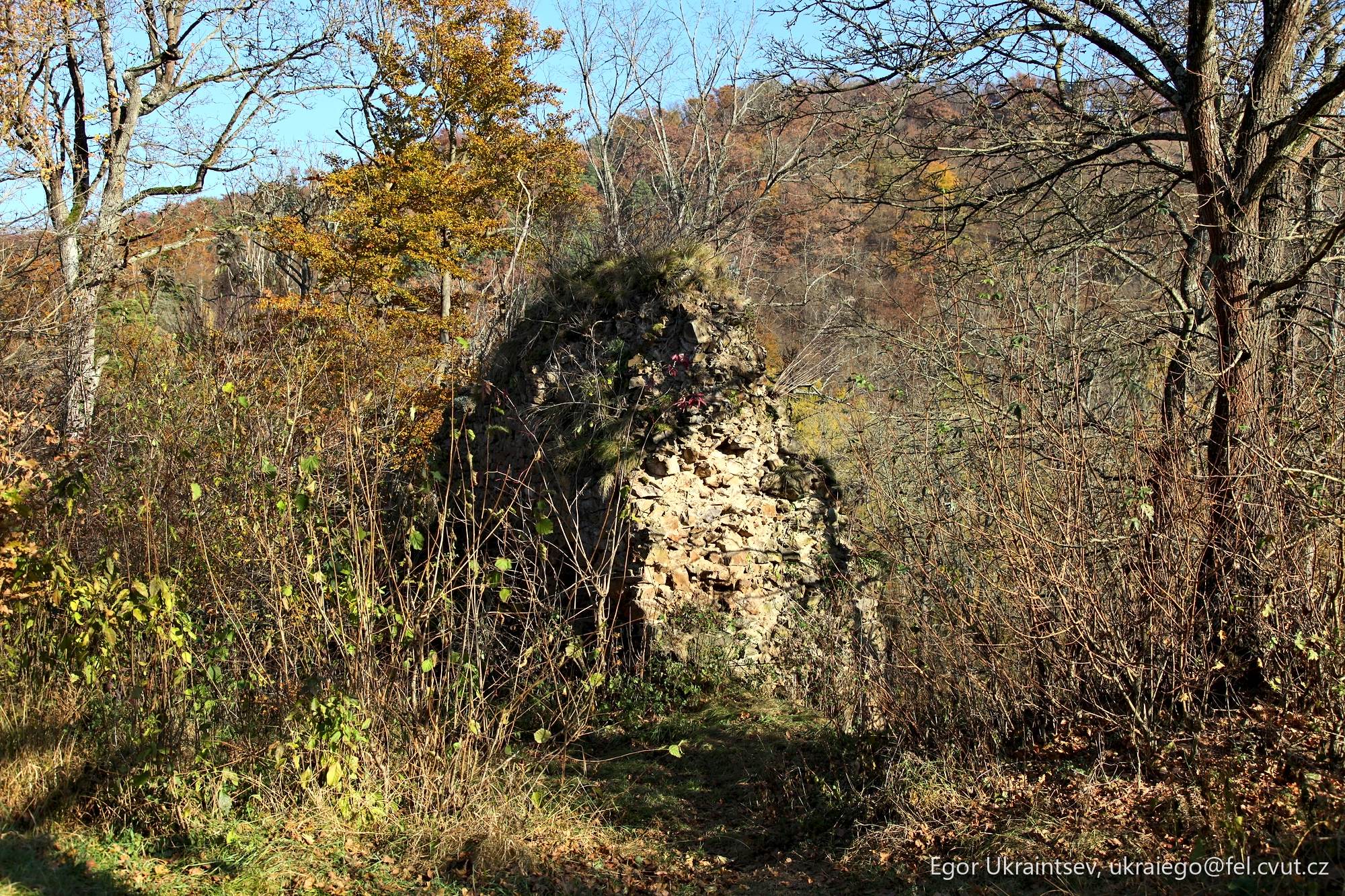 Rock formation in the woods
