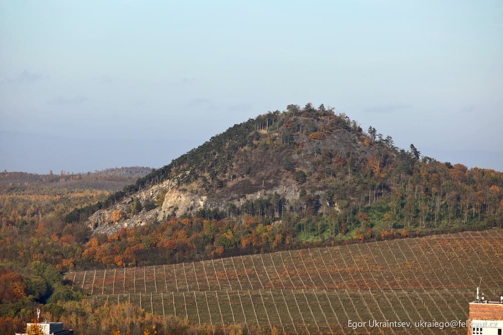 Hill in the fall