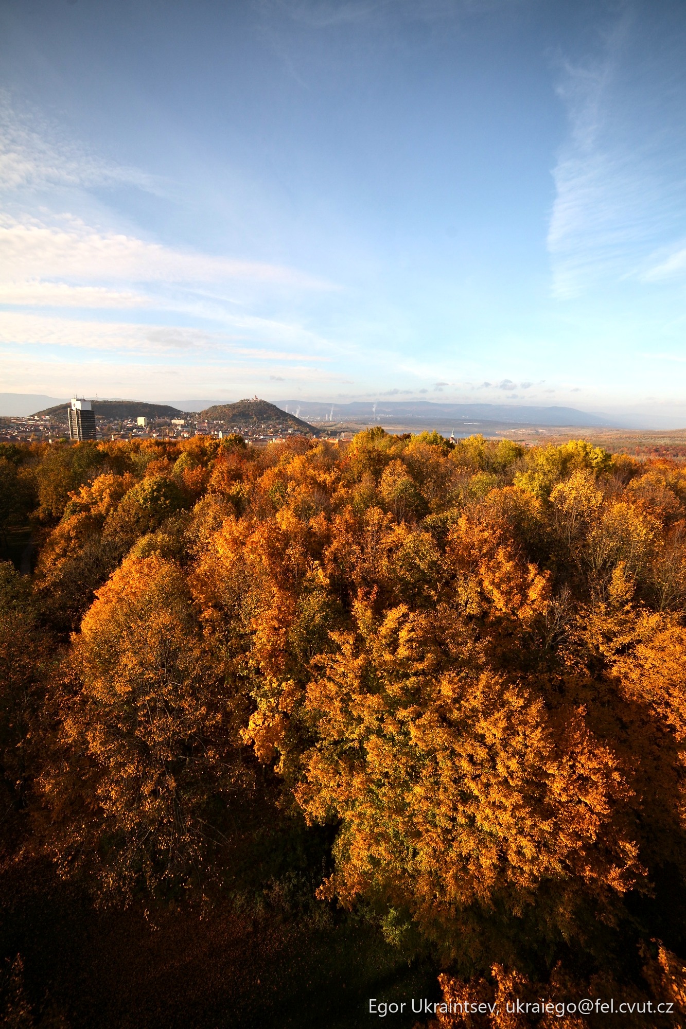 Autumn trees in the park