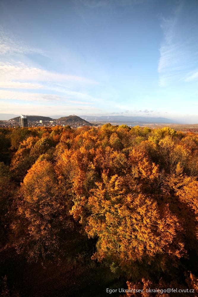 Autumn trees in the park