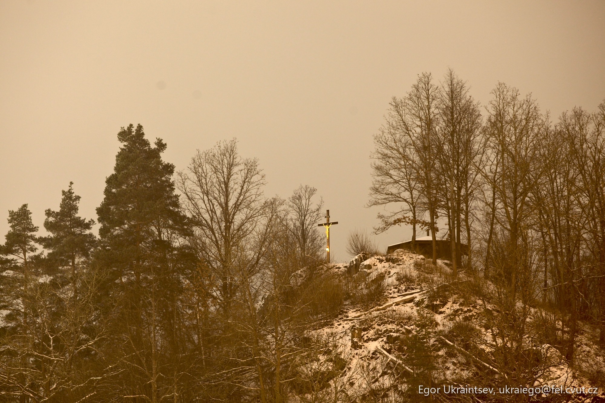 Snow covered hill with trees