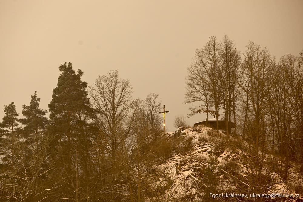 Snow covered hill with trees