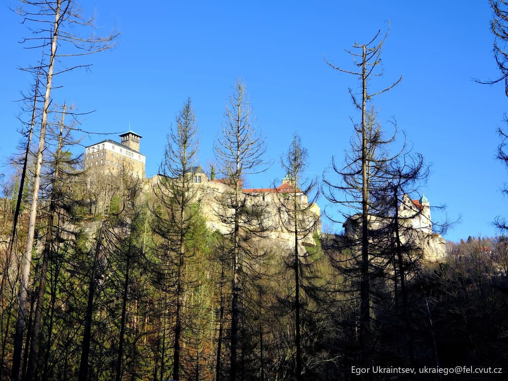 Castle surrounded by trees