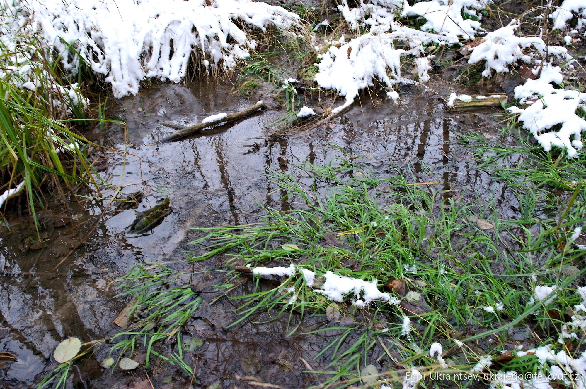 Puddle in the snow