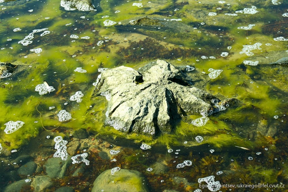 Rock in the water
