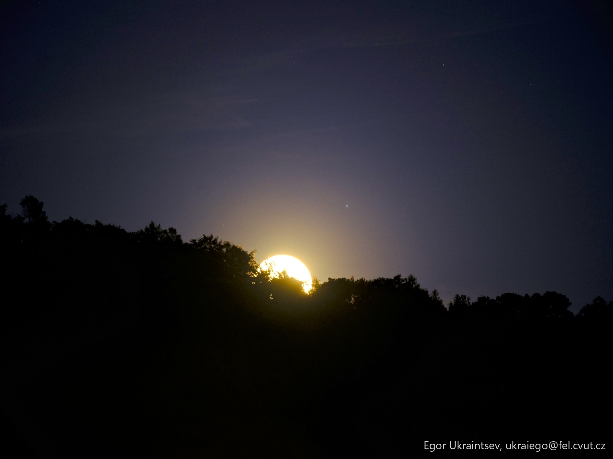 Sun setting behind trees