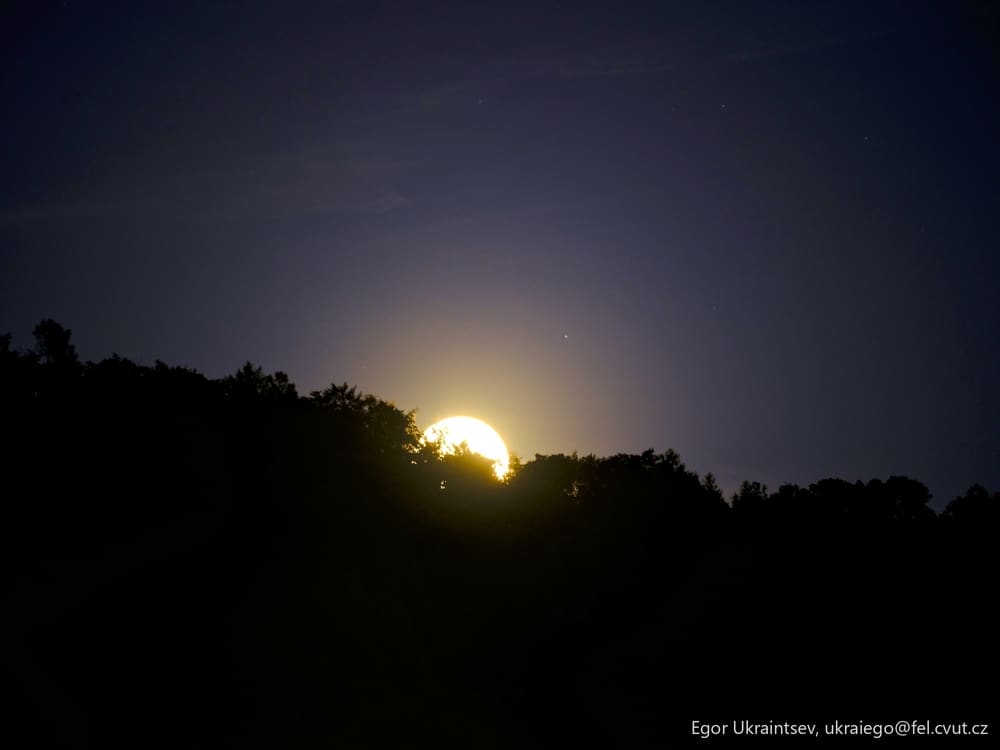 Sun setting behind trees