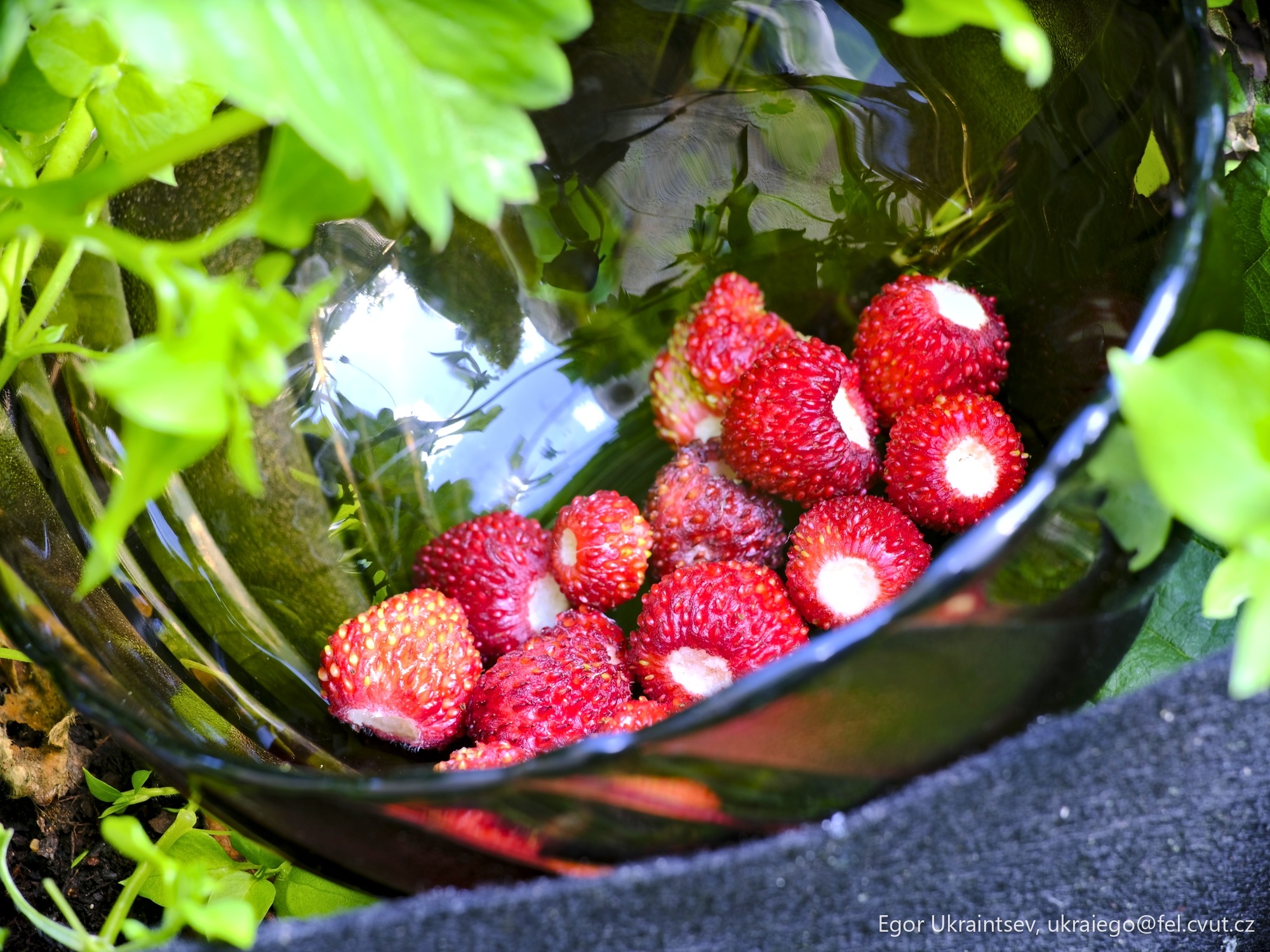 Strawberries in a glass bowl