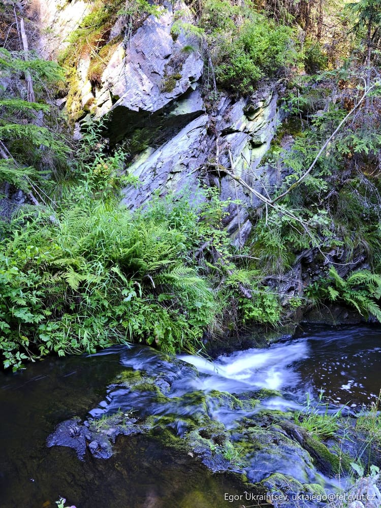 Small stream in the forest