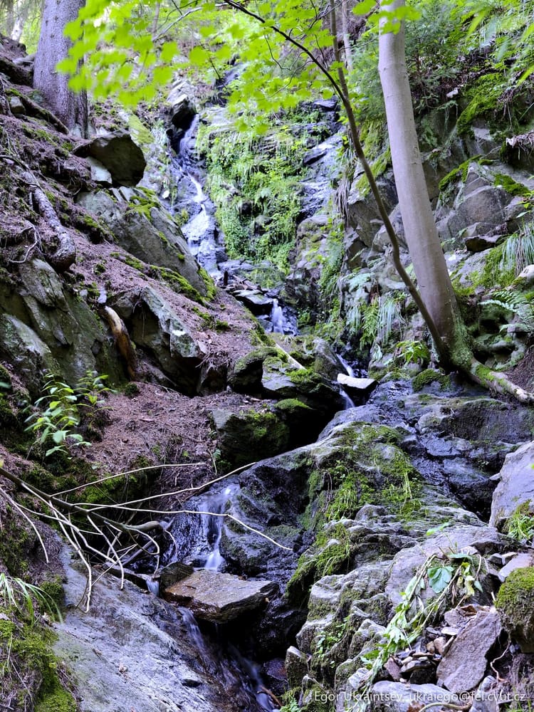 Small stream in the woods