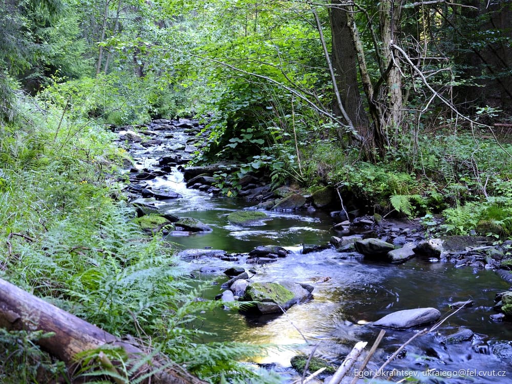 Creek in the woods