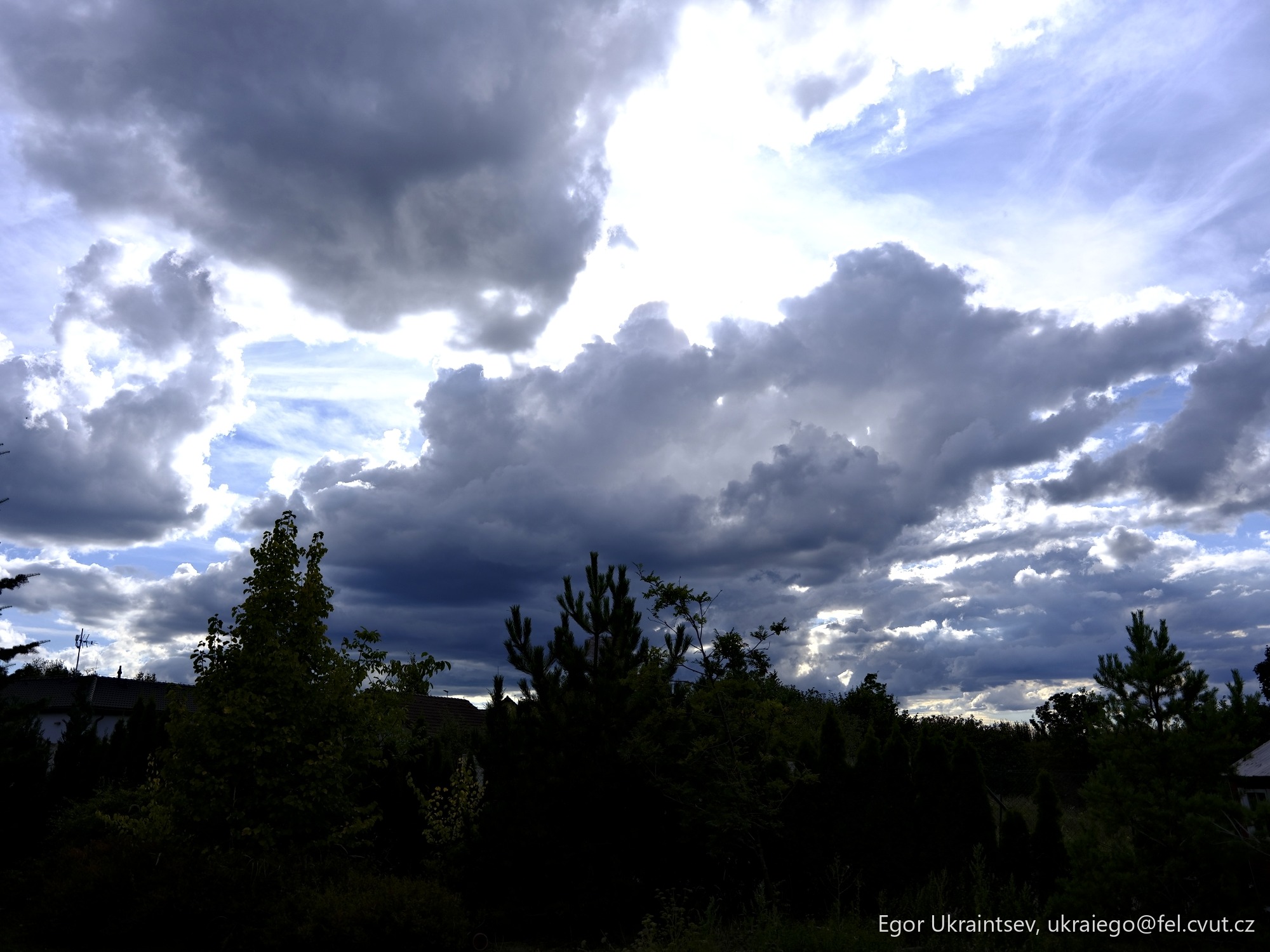 Cloudy sky with some trees