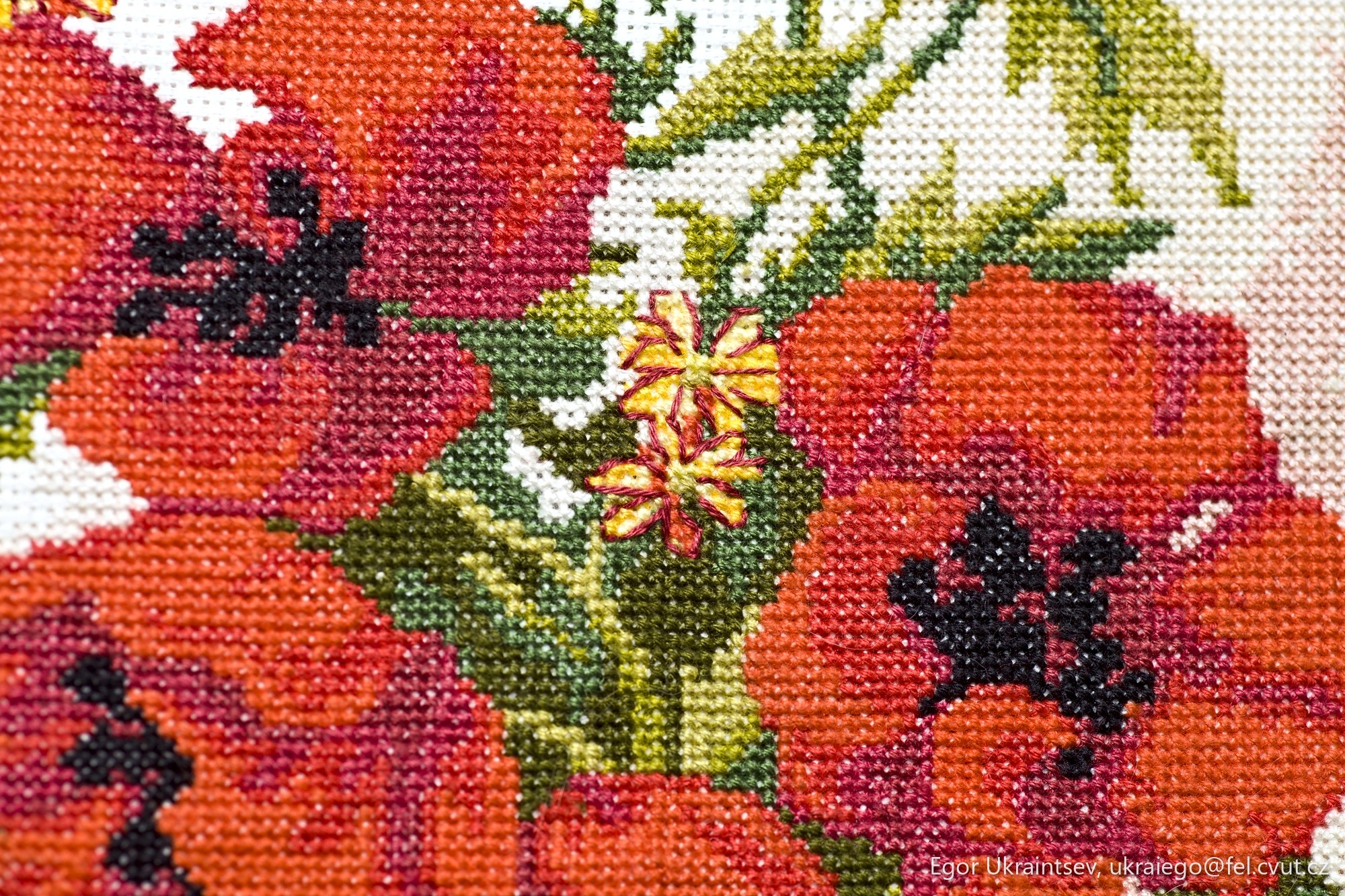 Red pop flowers