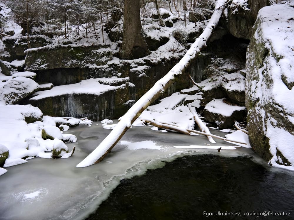 Stream in the woods covered