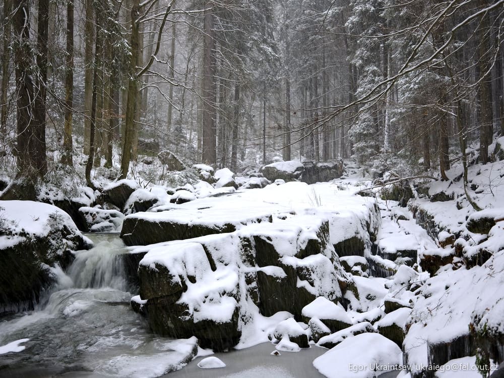 Stream in a snowy forest