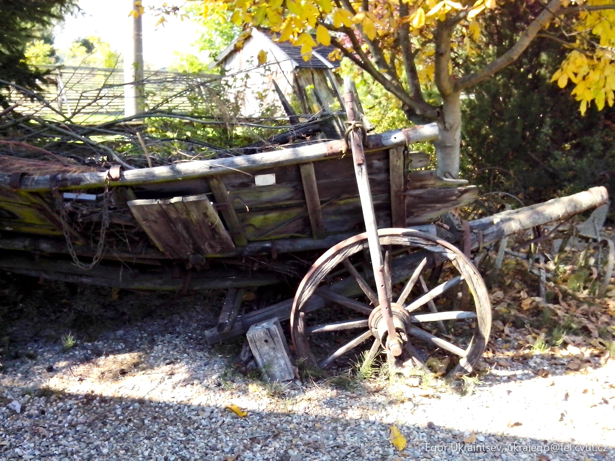 Old truck in the woods