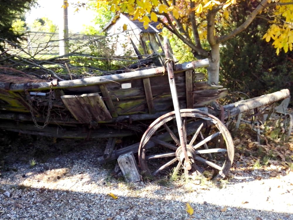 Old truck in the woods