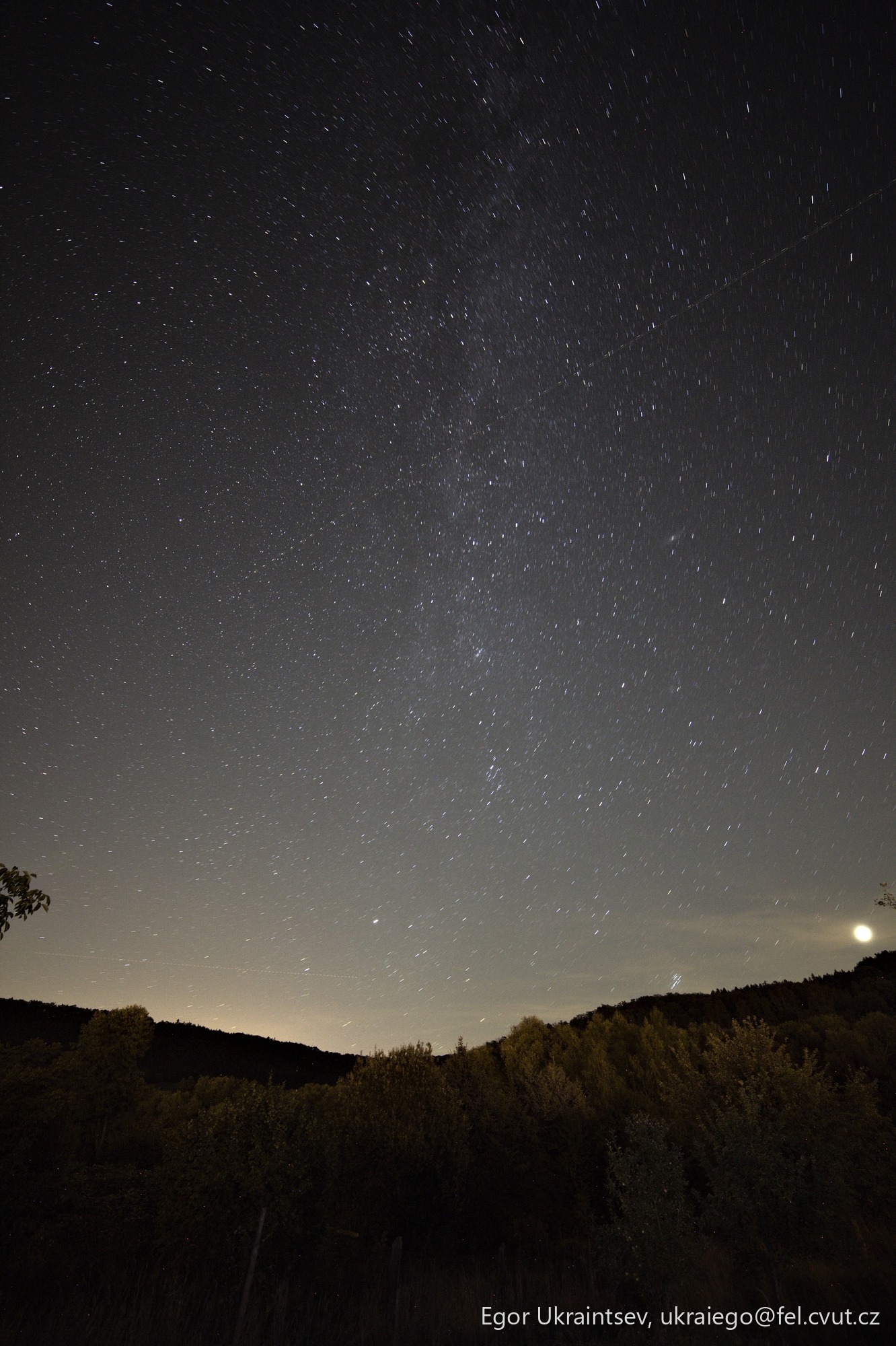 Night sky over a forest