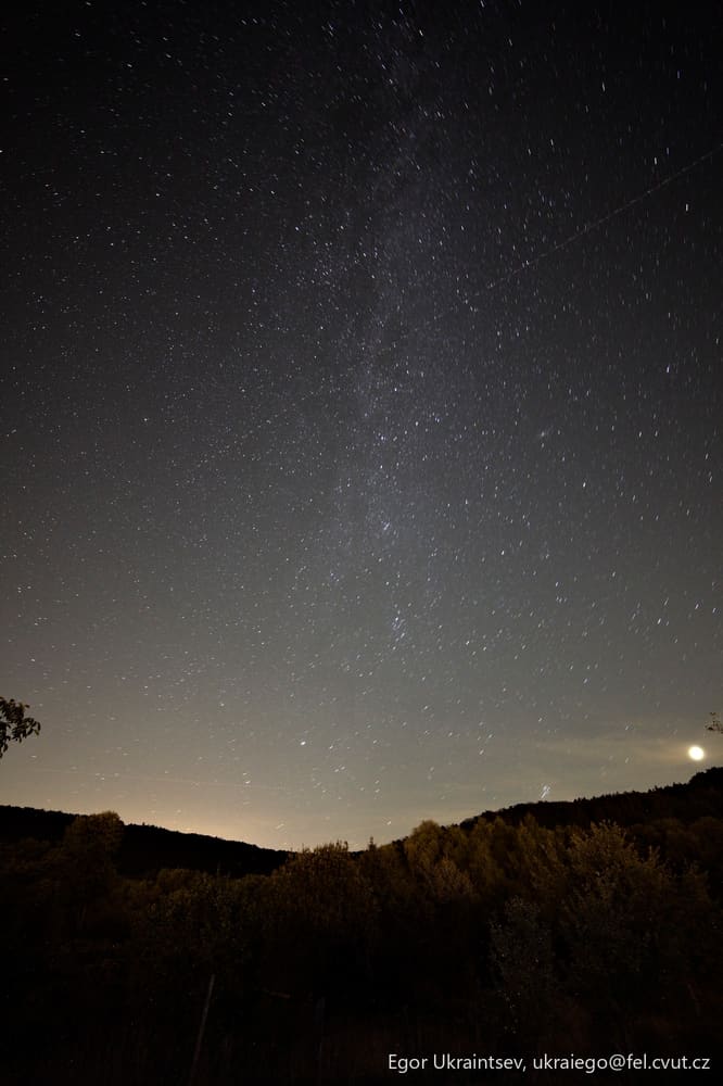 Night sky over a forest