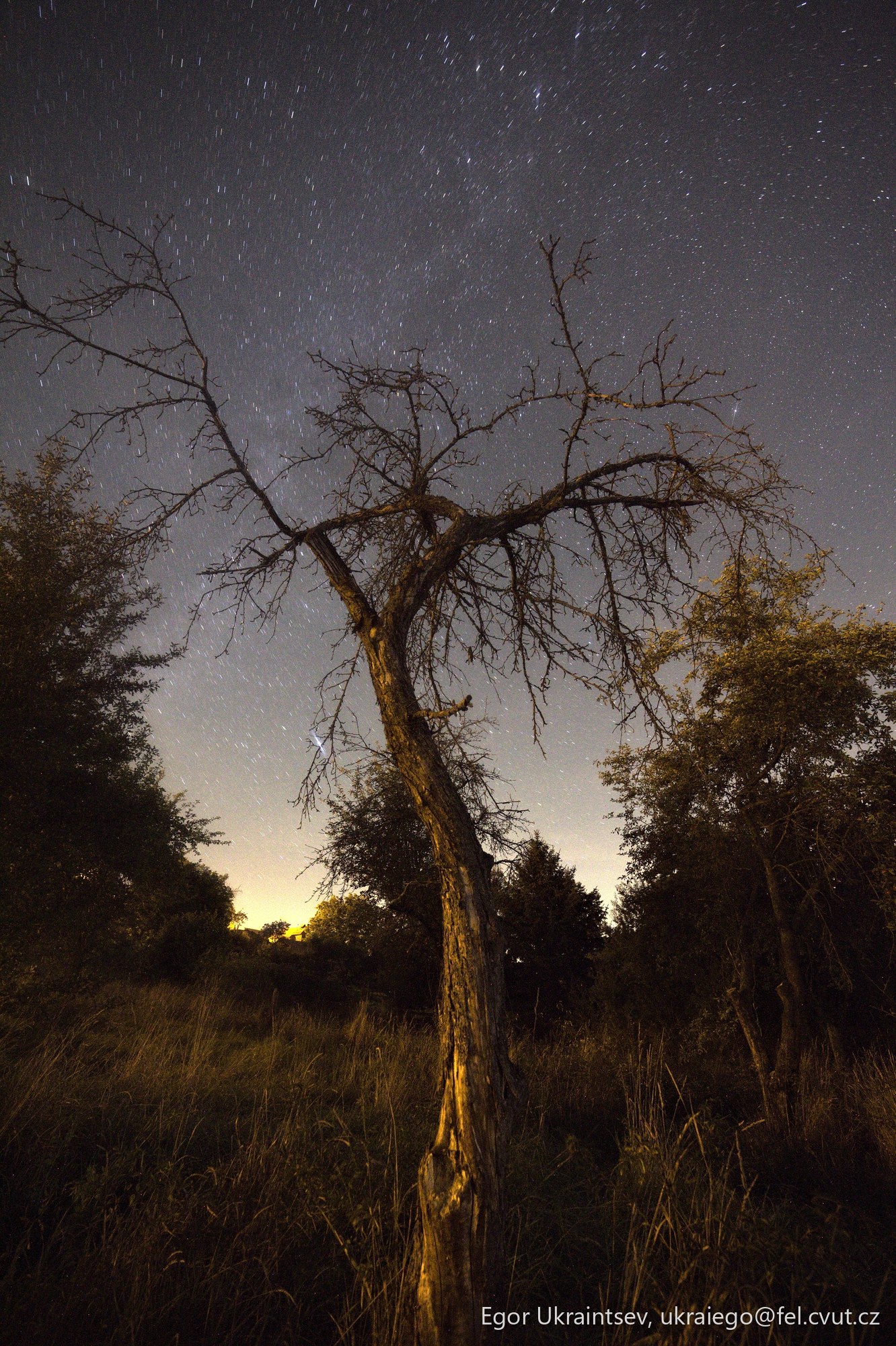 Night sky over a bao
