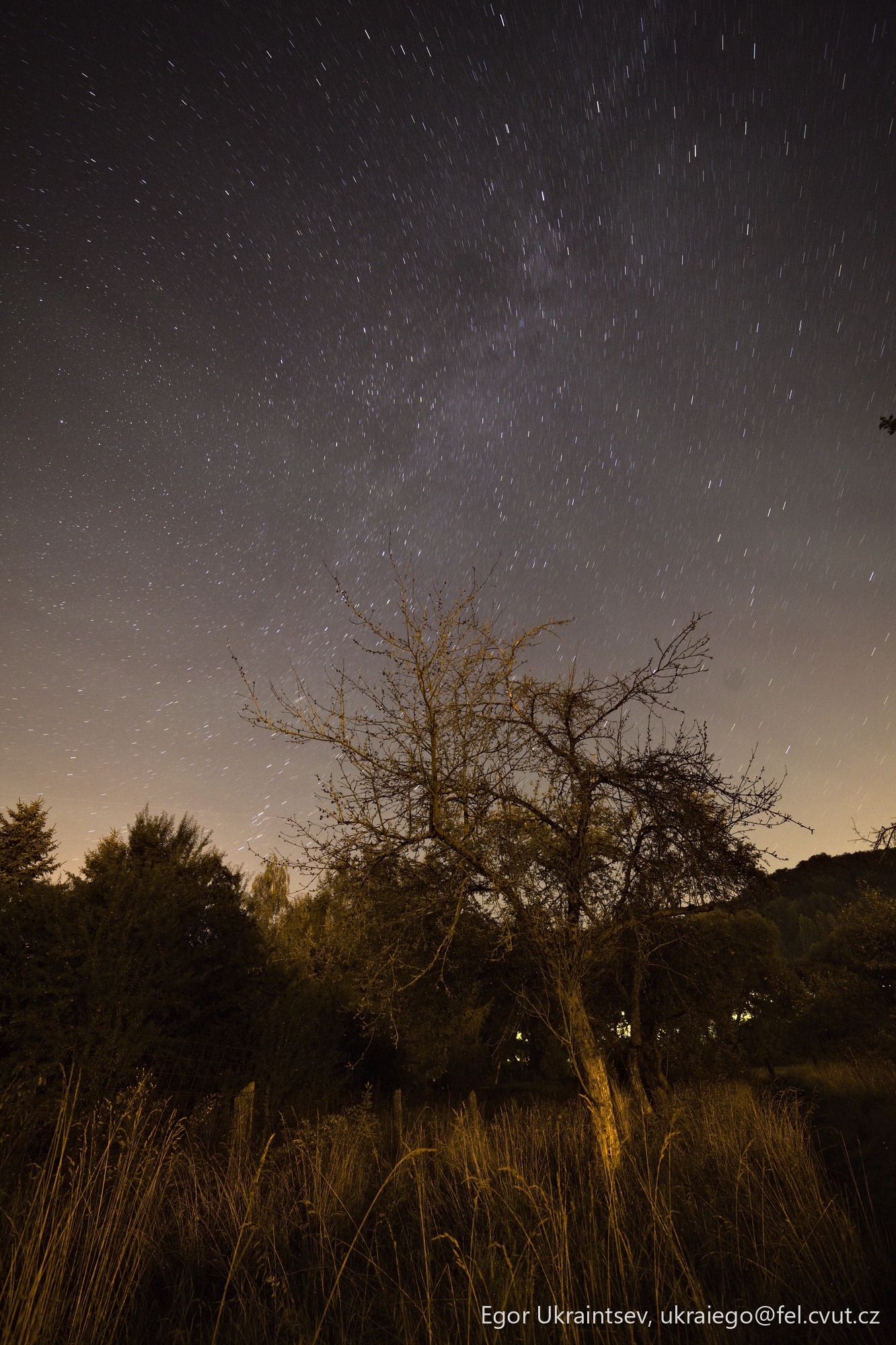 Night sky over a field