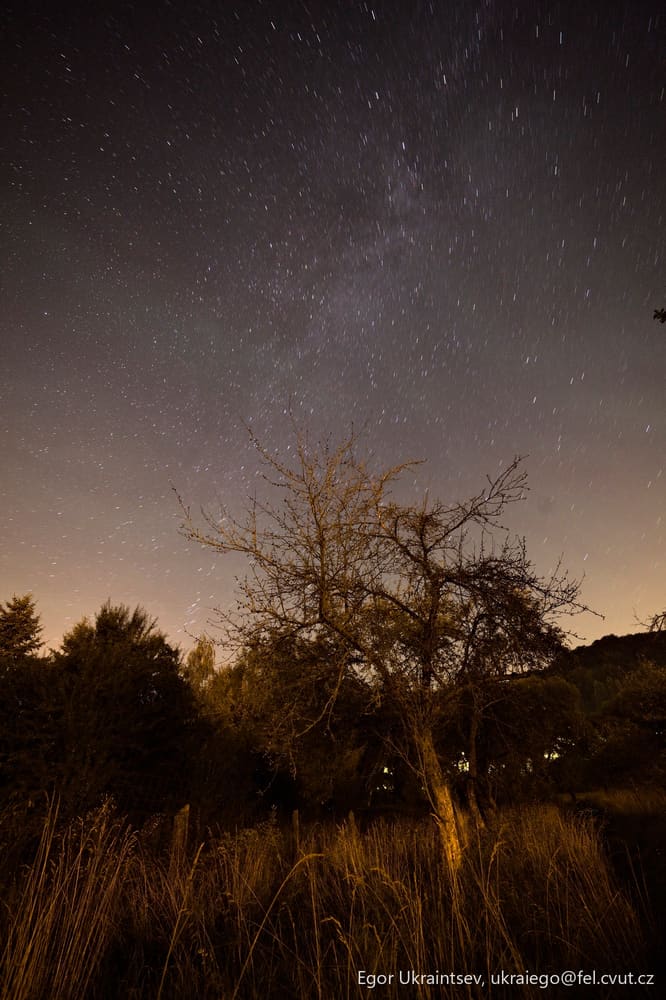 Night sky over a field