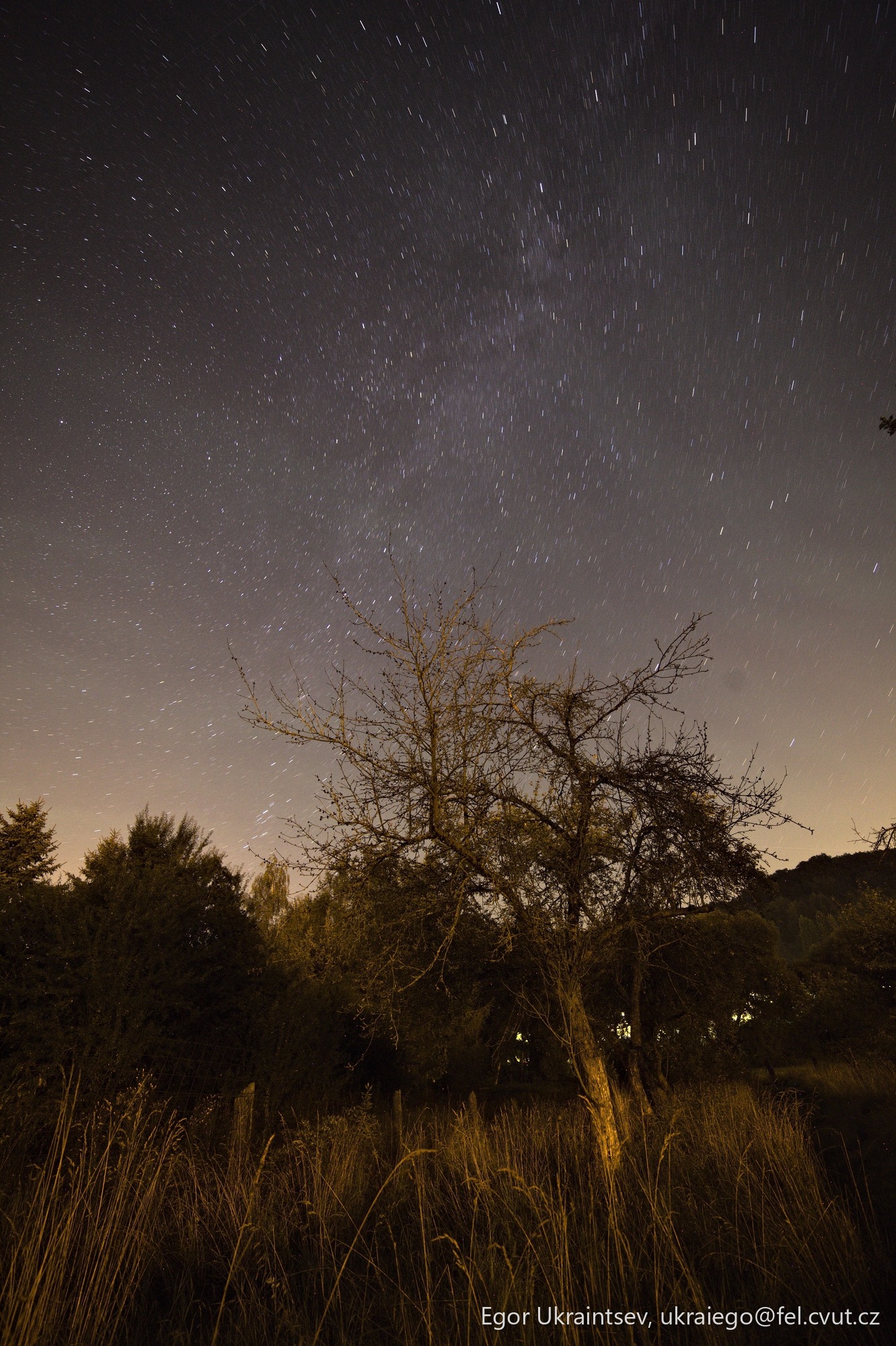 Night sky over a field