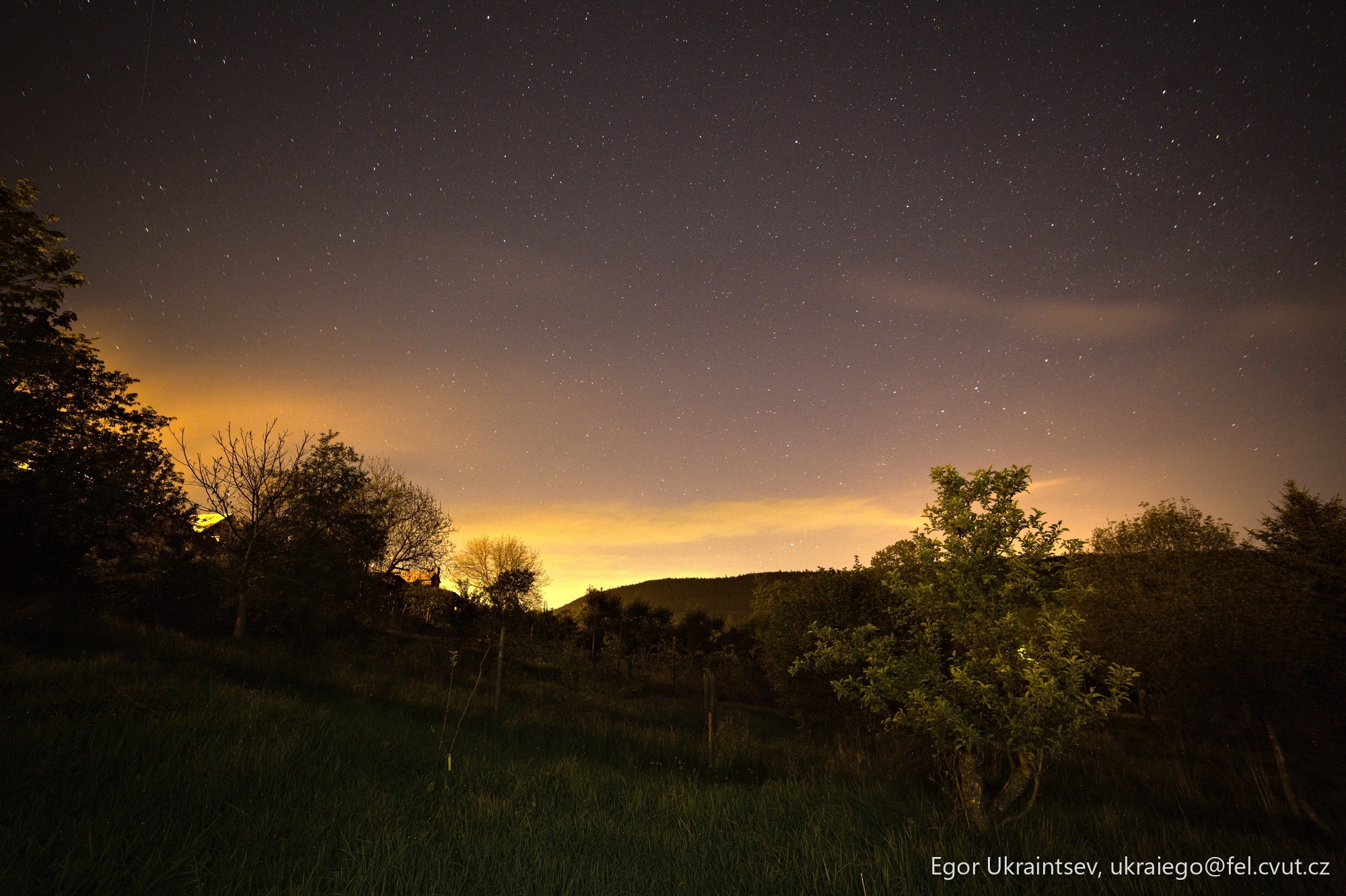 Night sky over a field