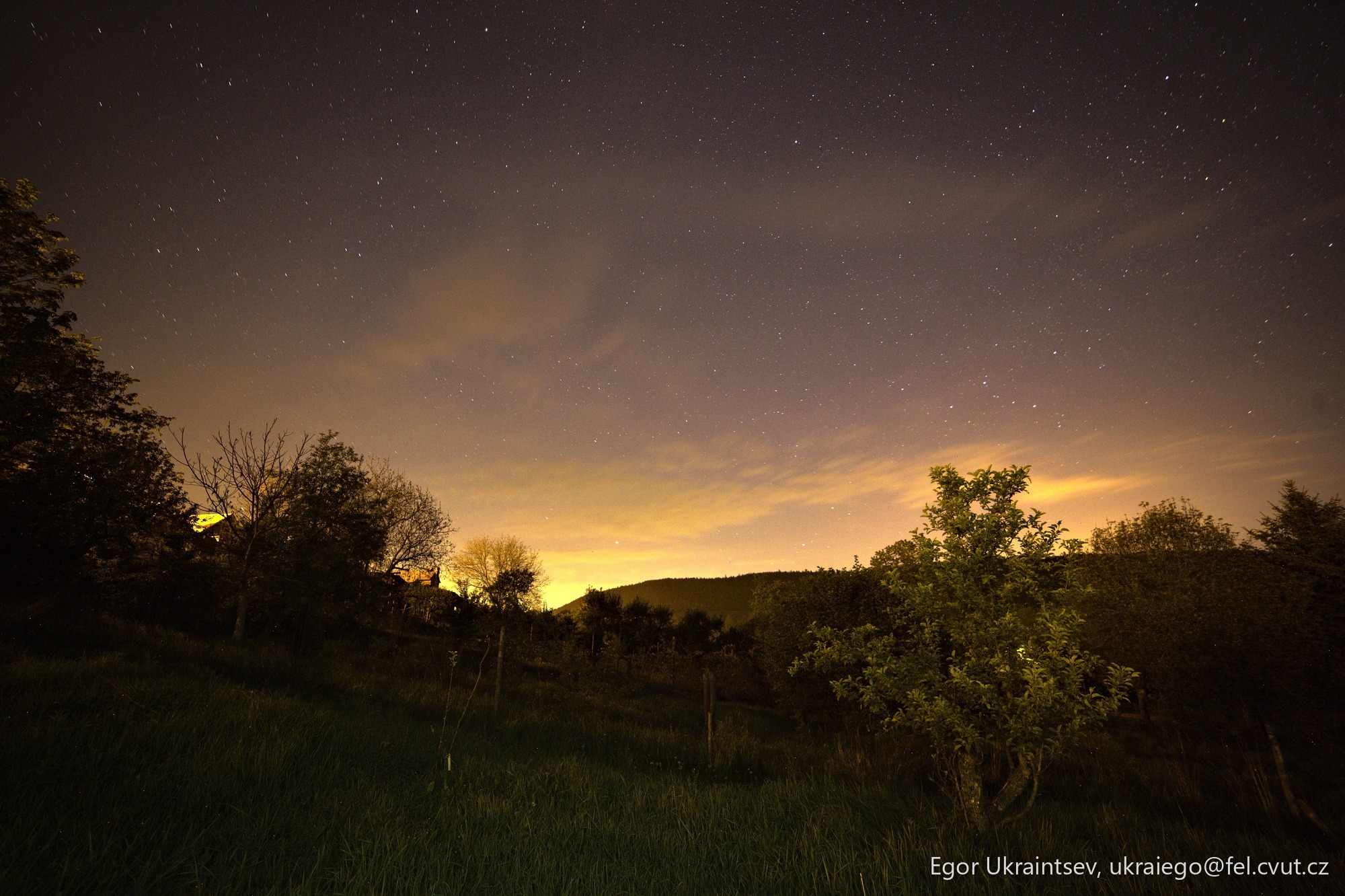Night sky over a grassy