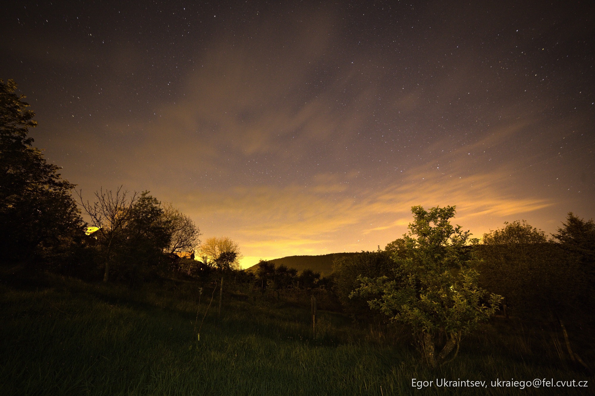 Night sky over a grassy