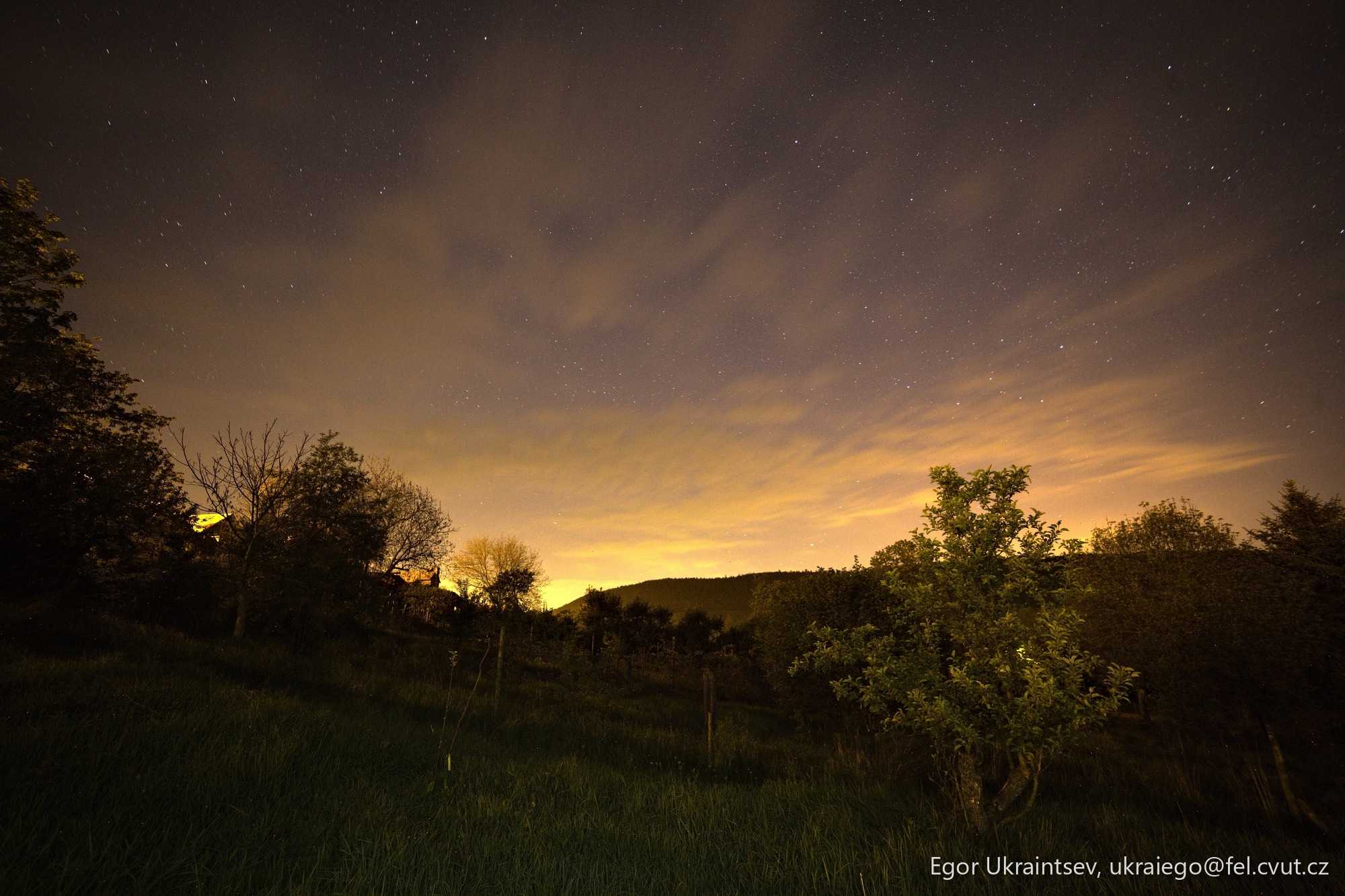 Night sky over a field