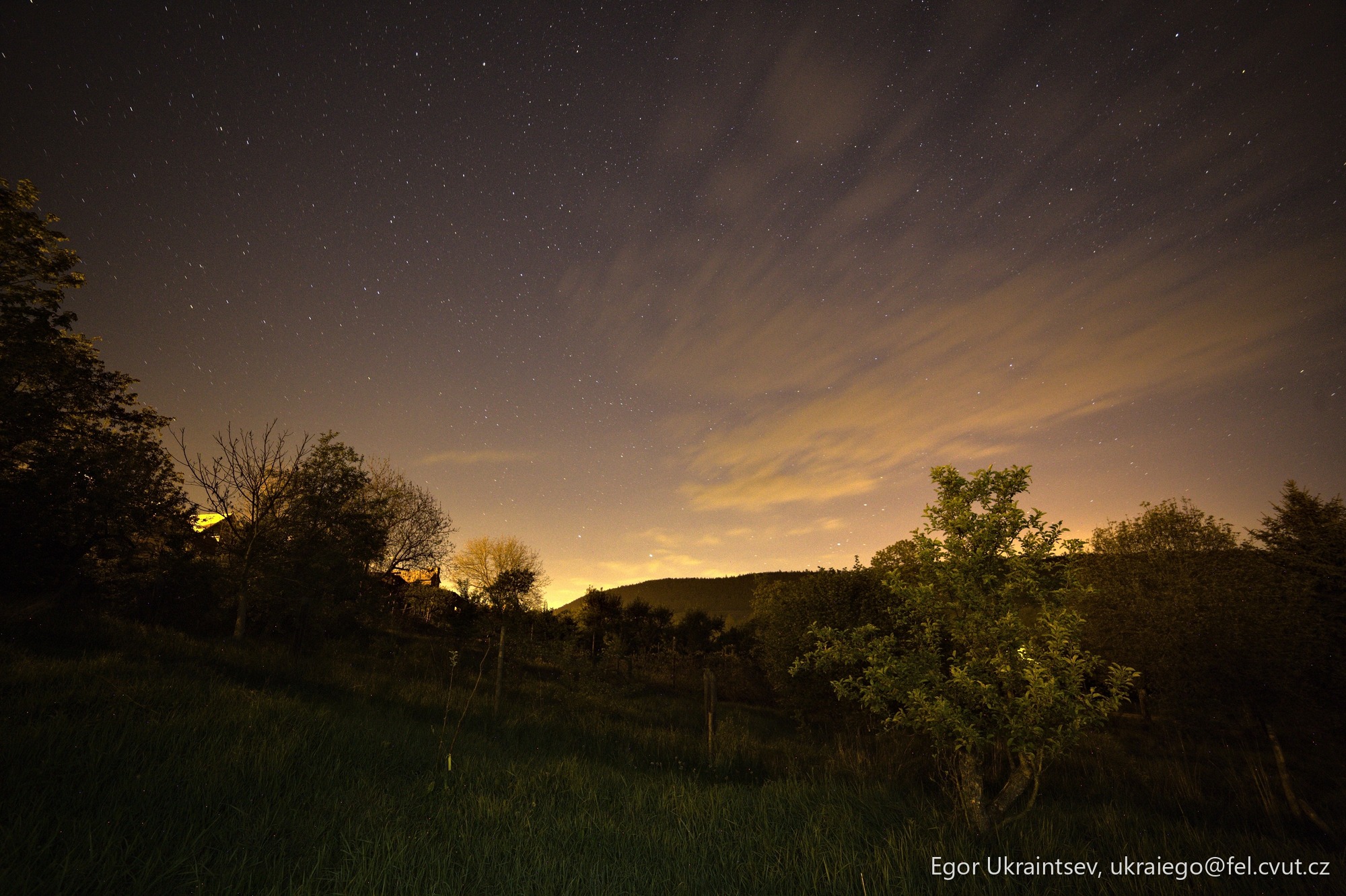 Night sky over a grassy