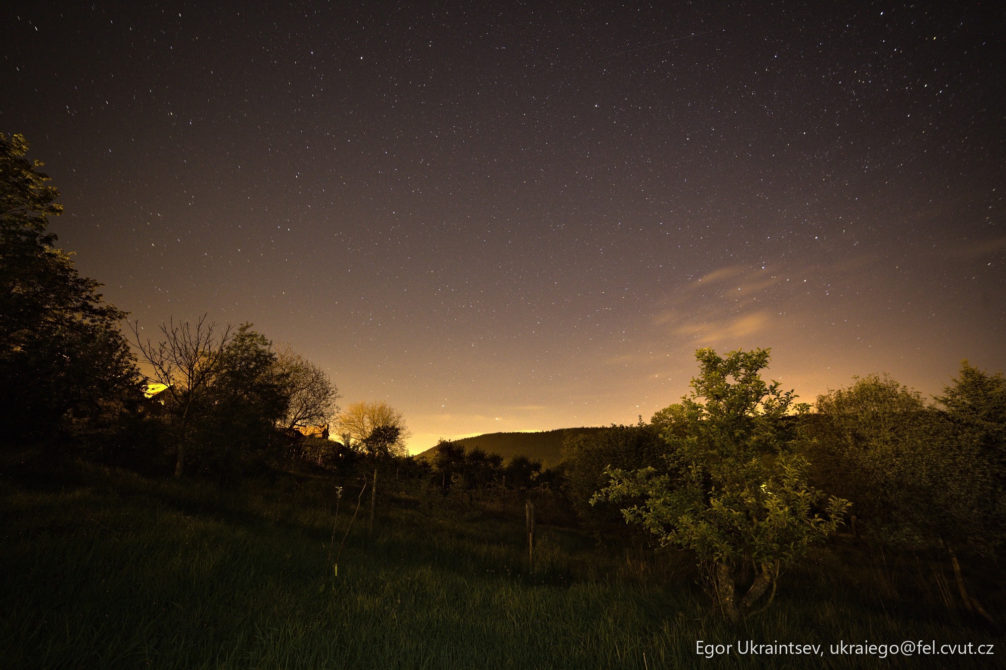 Night sky over a field