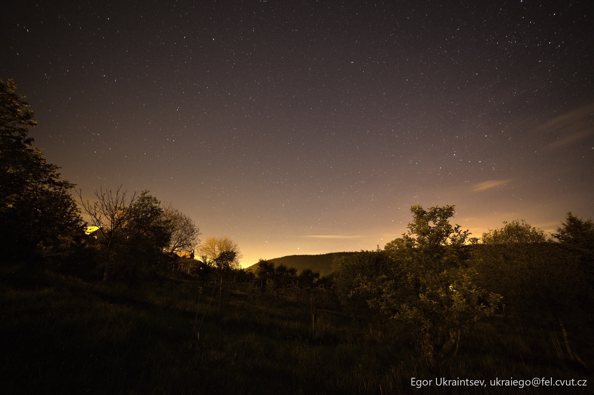 Night sky over a forest